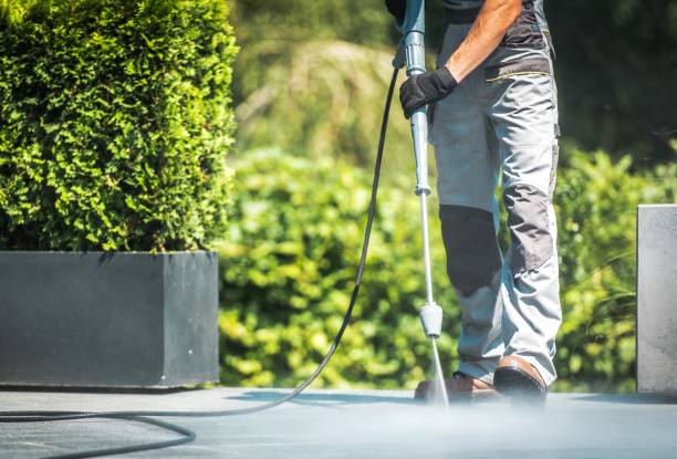 Solar Panel Cleaning in Denmark, SC